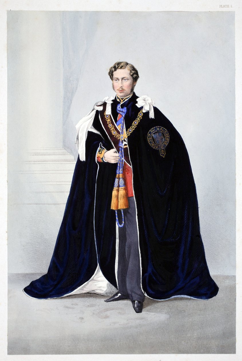 Seine Königliche Hoheit, Albert Edward, Prinz von Wales, aus Ein Gedenkbuch zur Hochzeit von Edward VII. und Alexandra von Dänemark, veröffentlicht 1864 von English School
