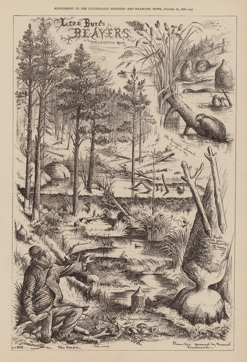 Lord Bures Biber, Drumreoch Moor (Gravur) von English School