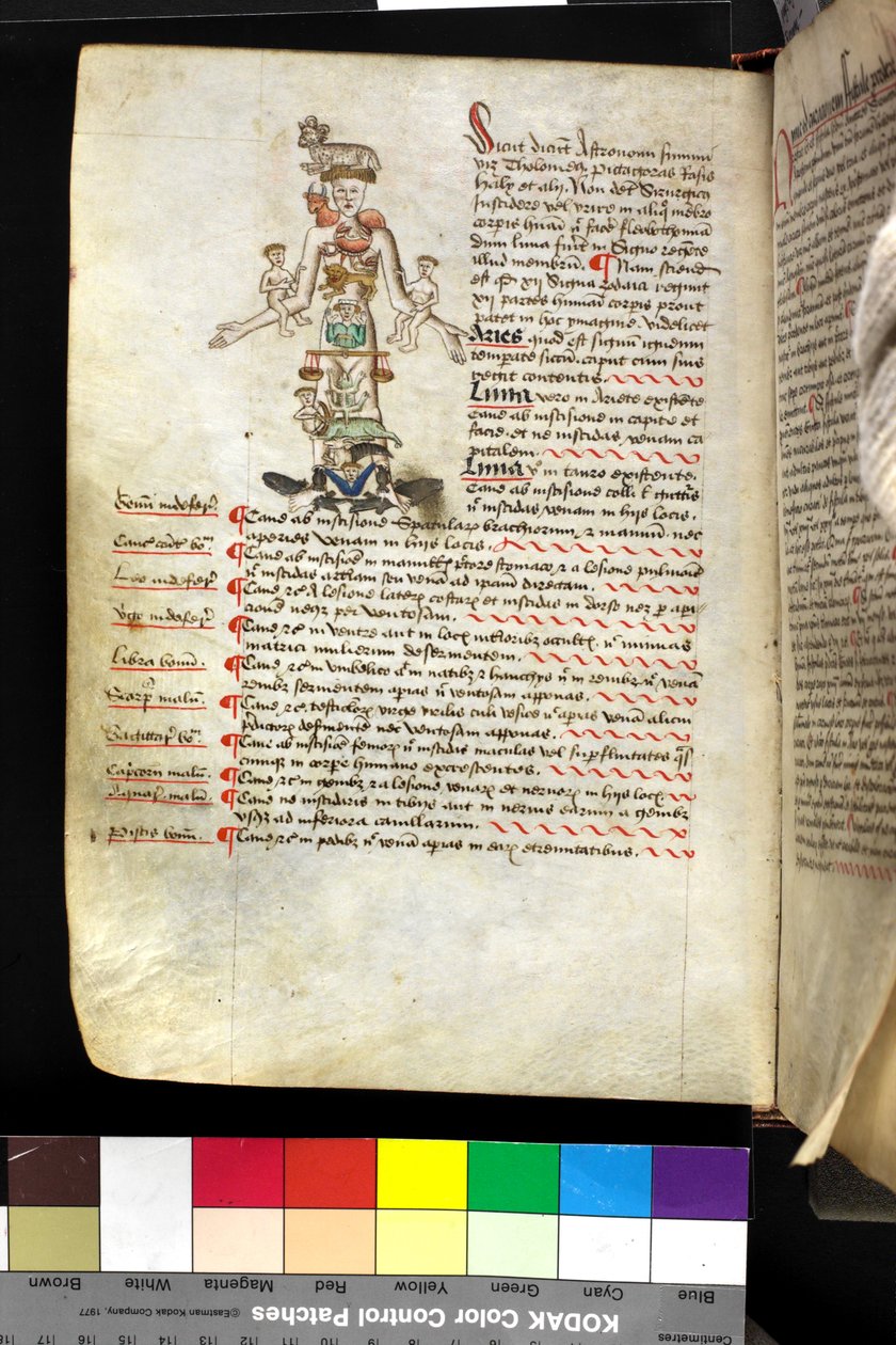 MS Hunter 251 f.47v, Illustration eines 