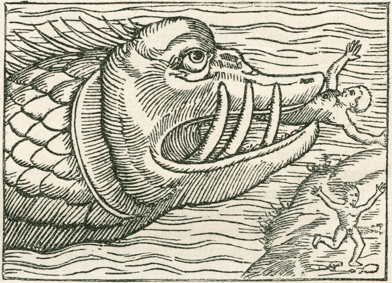 Mann, der von einer Seeschlange gefressen wird. Illustration am Rand einer Karte von Olaus Magnus von English School