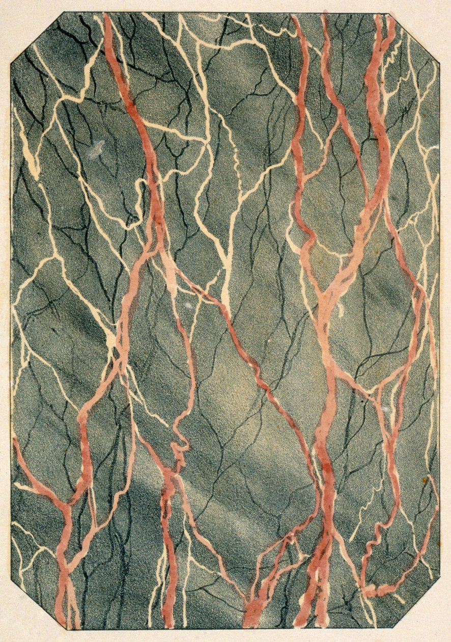 Marmorierungseffekte: Seite aus einem viktorianischen Musterbuch, veröffentlicht 1880 von English School