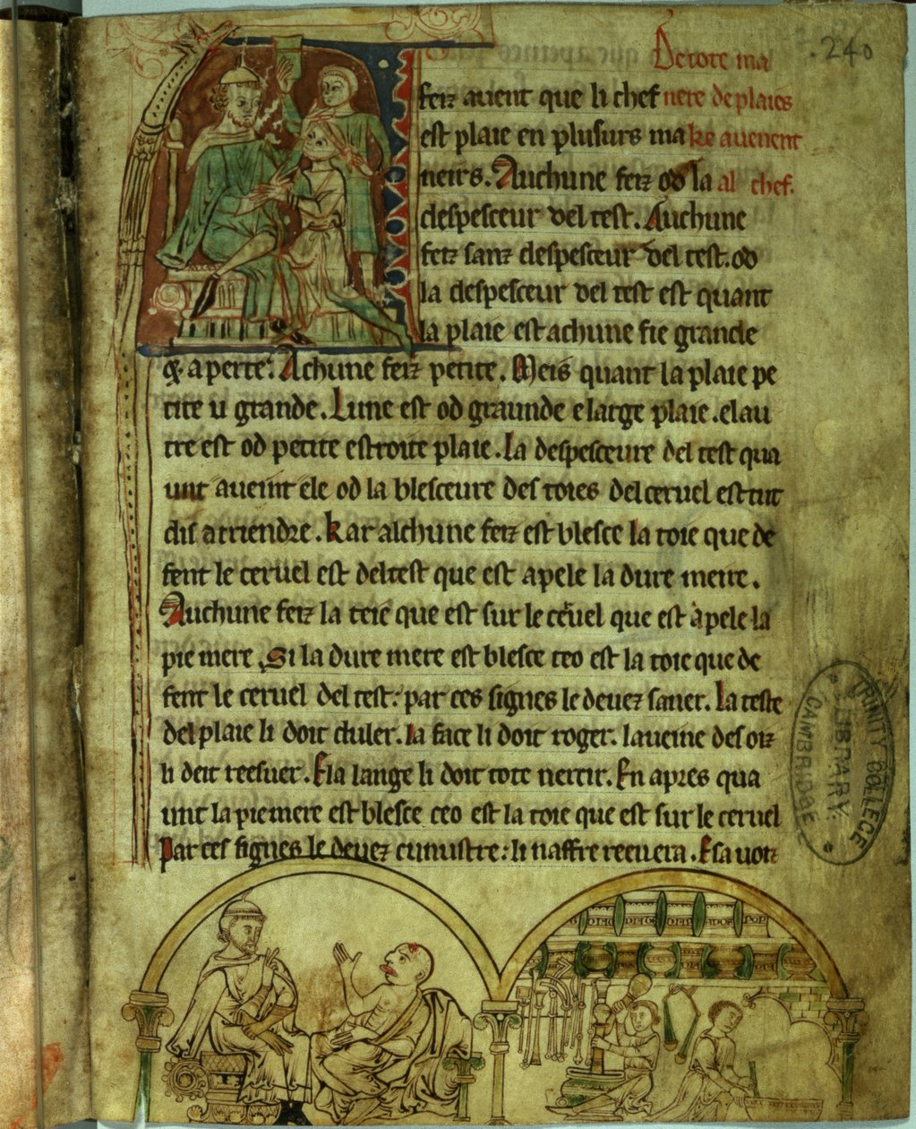 Ms.O.1.20.f.241v Jerome: Ein Arzt besucht einen Patienten und einen Apotheker, aus 
