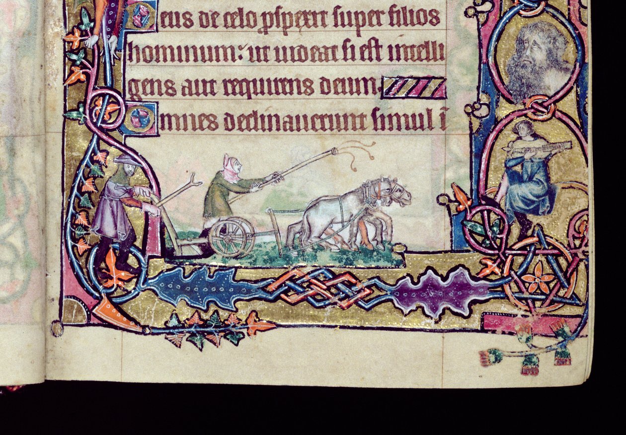 Ms 1-2005, ff.76v-77r: David und der Narr, historisierte Initiale aus dem Macclesfield Psalter, Gebrauch von Sarum, Ostanglien, um 1330 (Detail) von English School