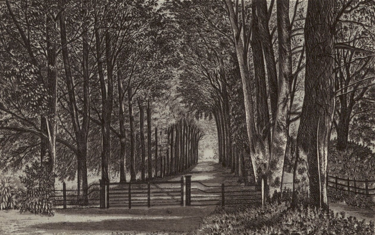 Newbury: Allee, Highclere Park von English School