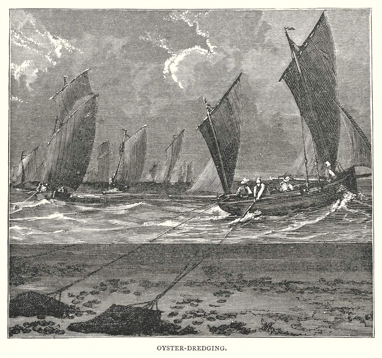 Austernfischen von English School