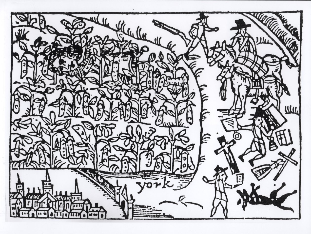 Prinz Rupert (1619-82) versteckt sich in einem Bohnenfeld in der Schlacht von Marston Moor am 2. Juli 1644 von English School