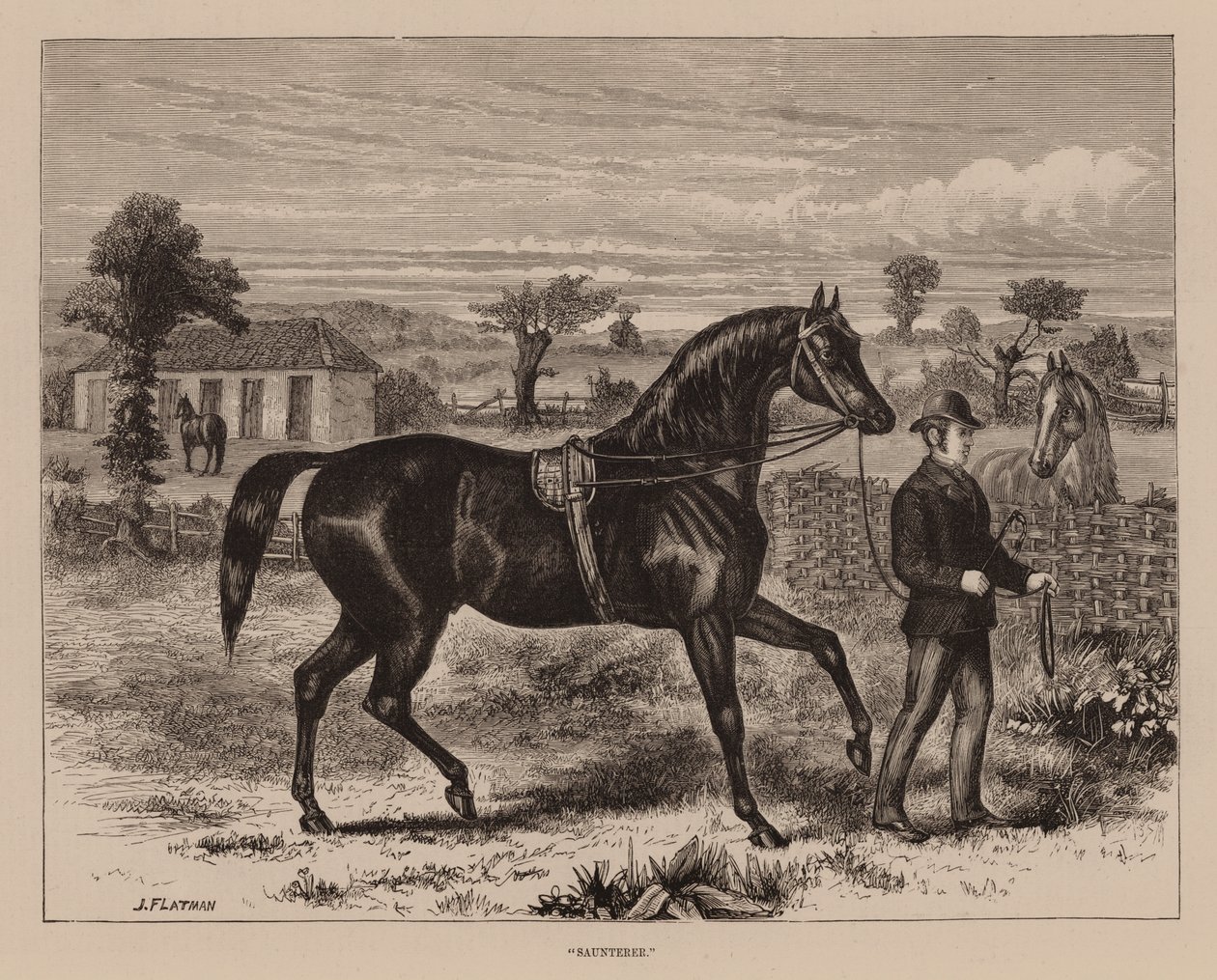 "Flaneur" von English School