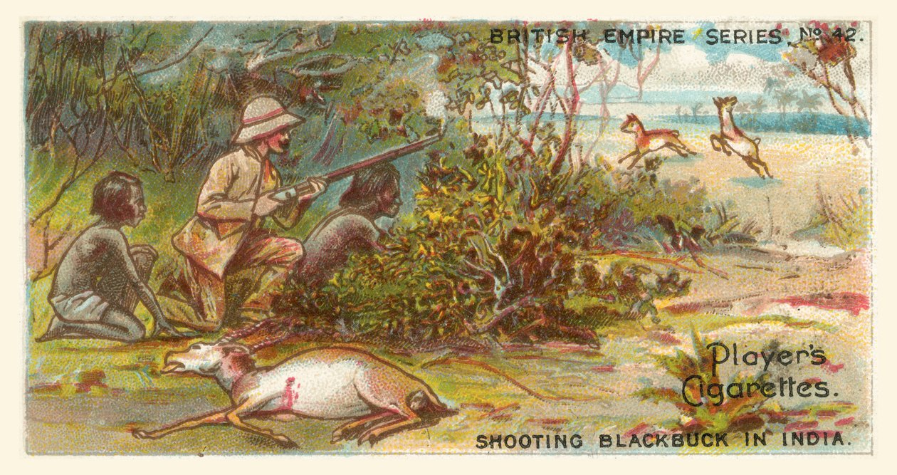 Schwarzwildjagd in Indien von English School