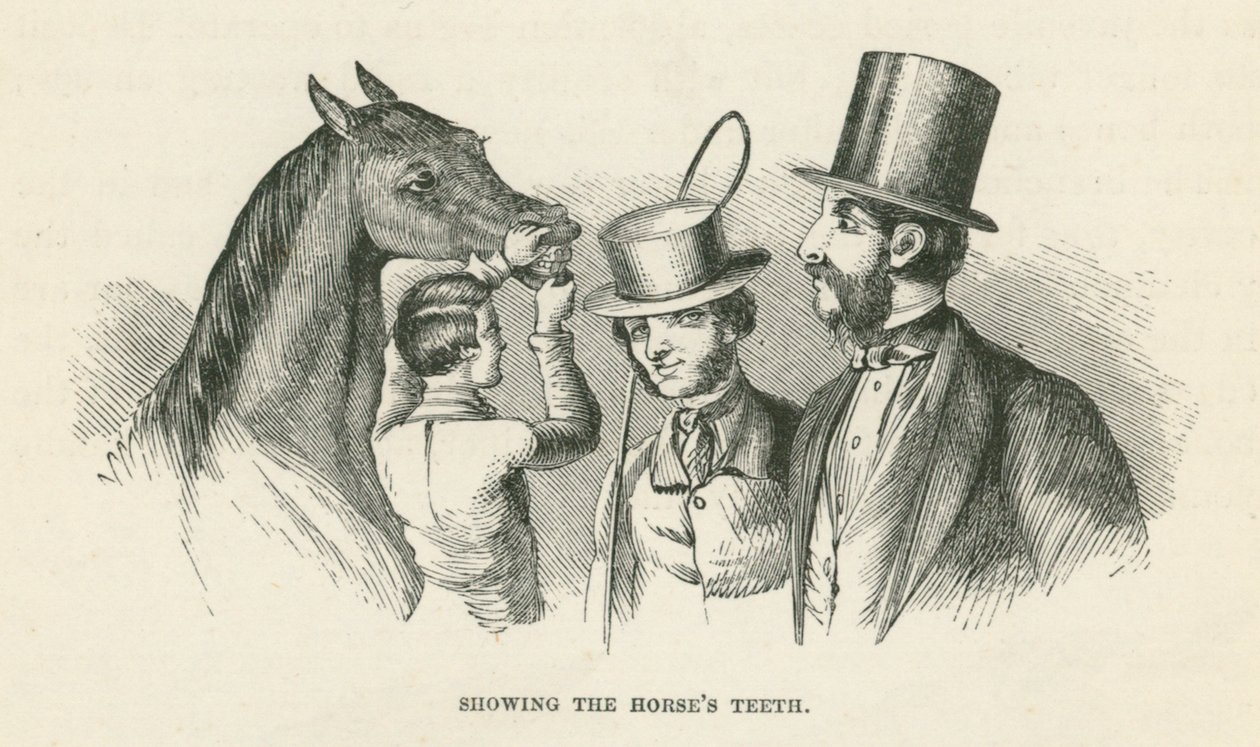 Die Zähne des Pferdes zeigen (Gravur) von English School