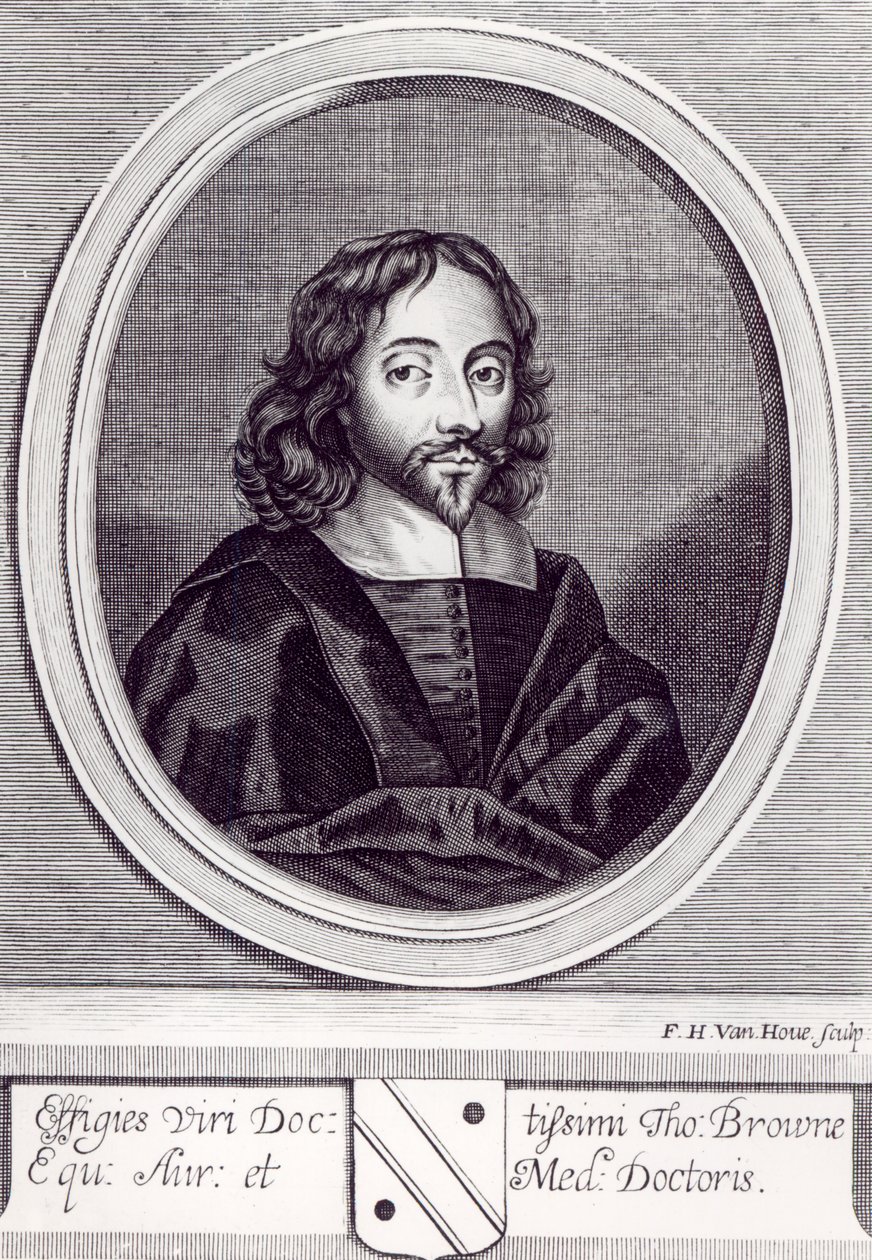 Sir Thomas Browne (1605-82), graviert von Frederick Hendrick van Hove (ca. 1628-98) von English School