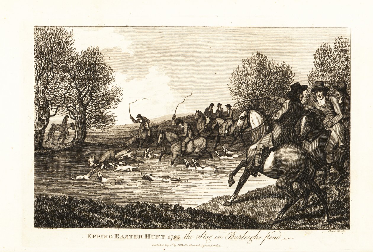 Hirschjäger und Hunde jagen ein Kälbchen im Epping Easter Hunt von English School