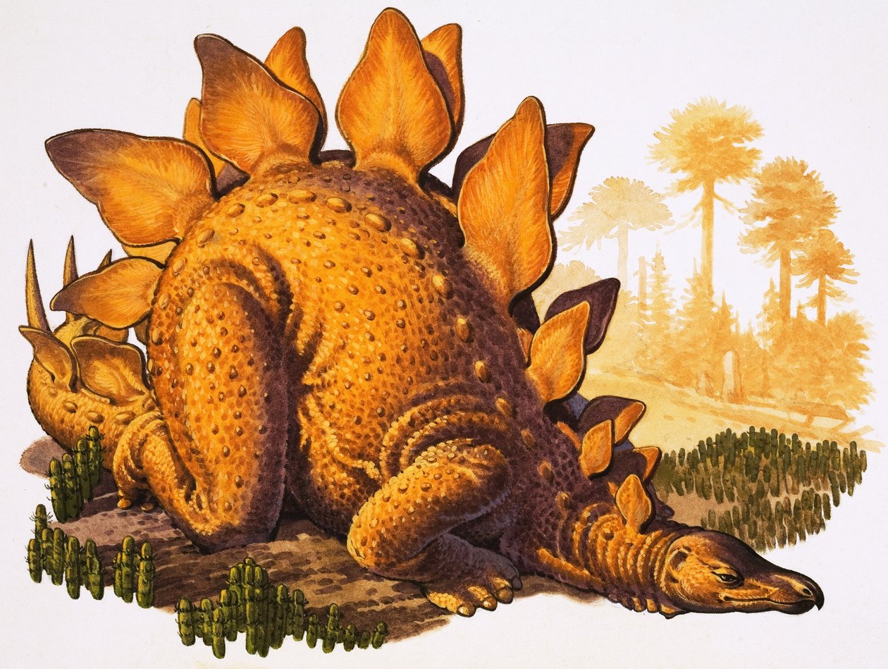 Stegosaurus von English School