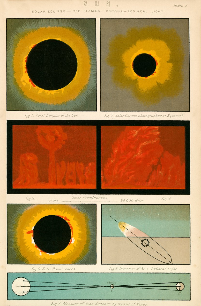 Sonne von English School