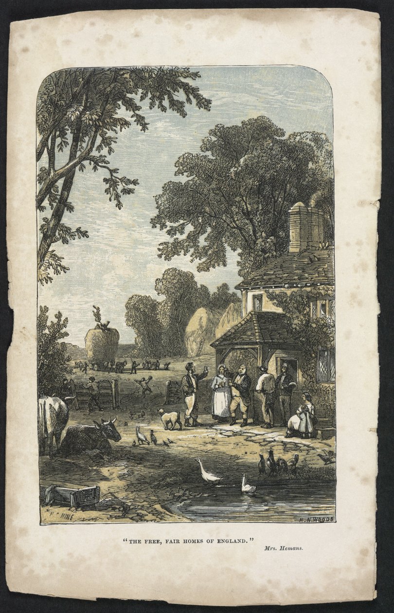 Die freien, schönen Häuser Englands, Illustration aus 