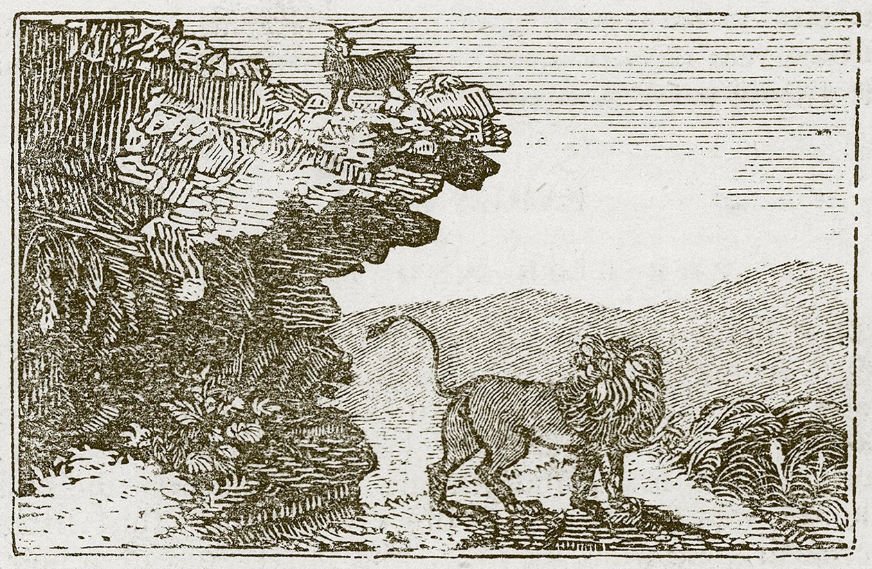 Die Ziege und der Löwe von English School