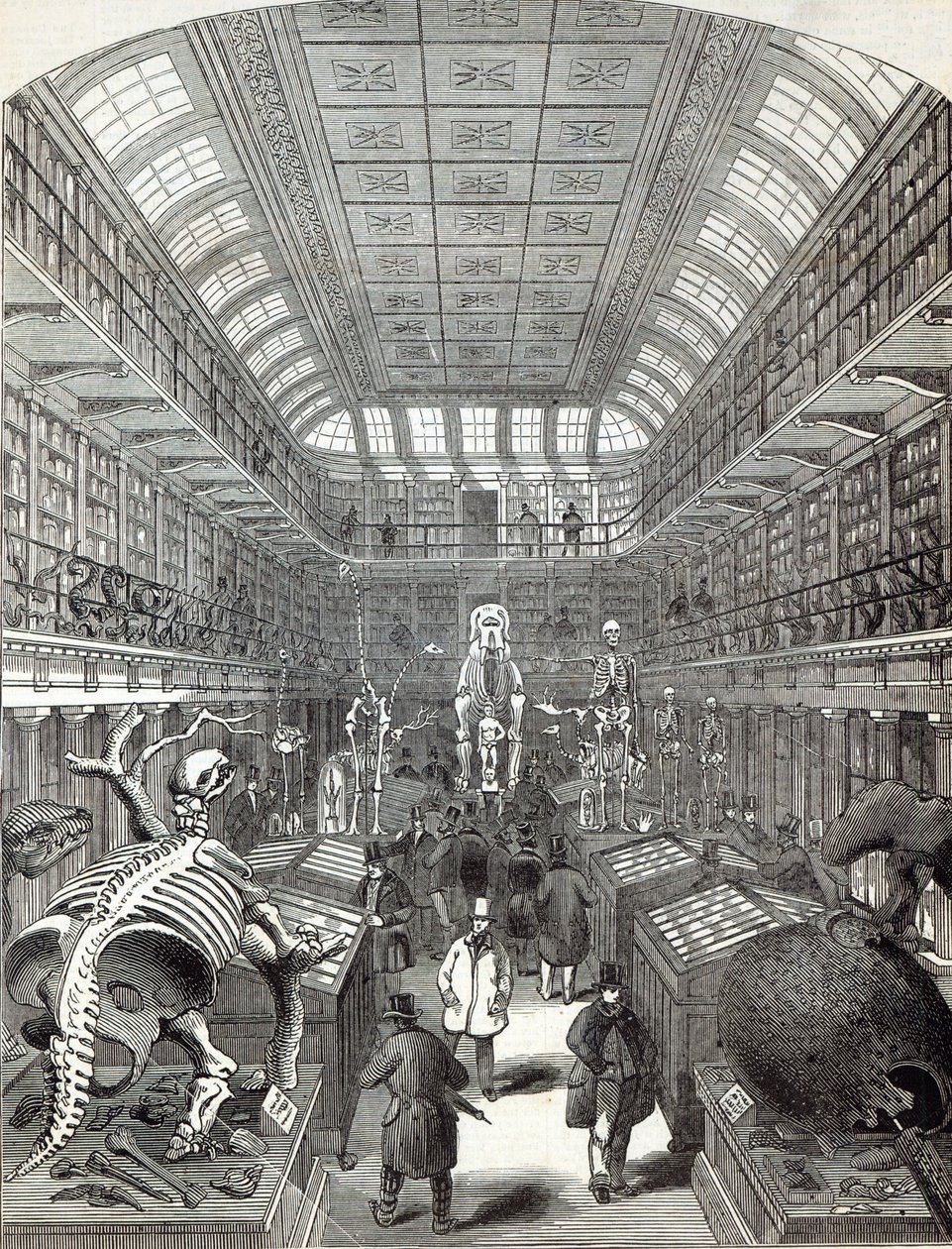 Das Hunterian Museum am Royal College of Surgeons, aus 