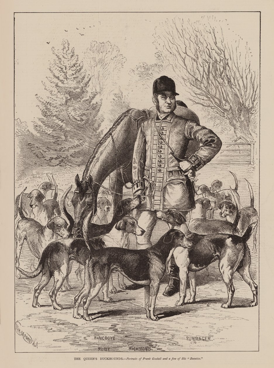 Die Jagdhunde der Königin, Porträts von Frank Goodall und einigen seiner "Schönheiten" von English School
