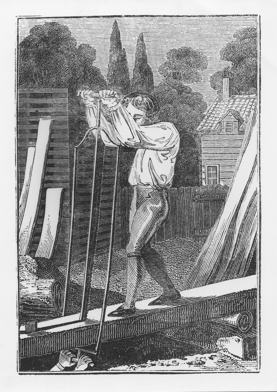 Der Säger, aus The Young Tradesman or Book of English Trades, 1839 von English School