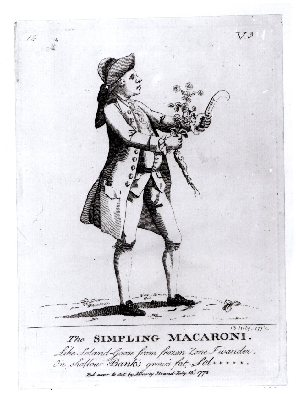 Der Simpling Macaroni, veröffentlicht von N. Darly, 13. Juli 1772 (Gravur) von English School