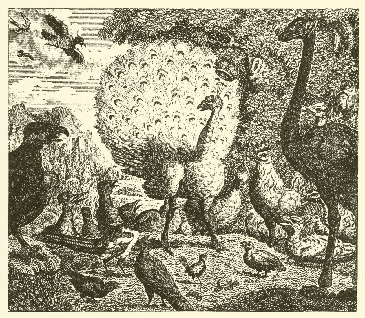 Der Pfau und die Elster von English School