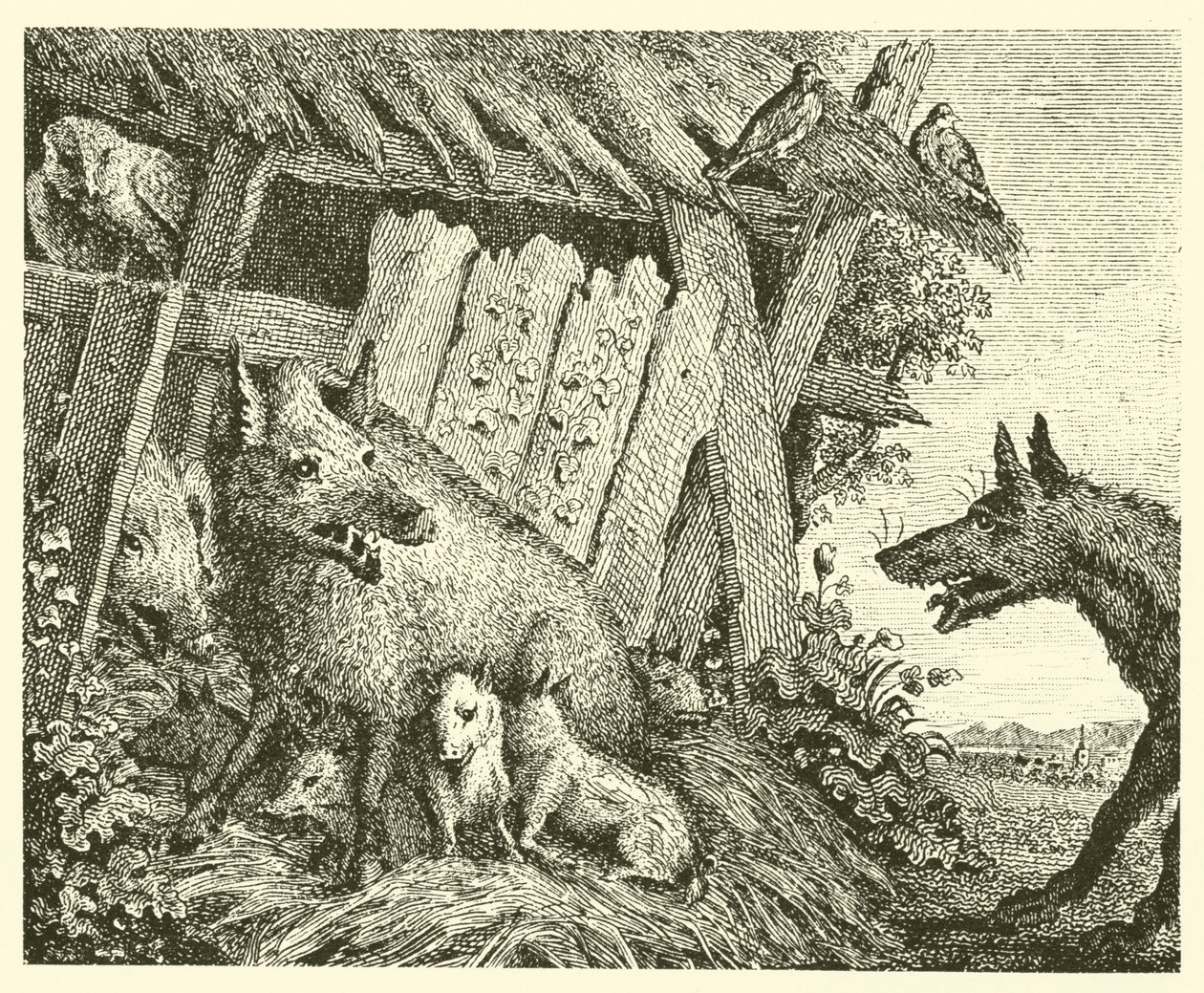 Die Sau und der Wolf von English School