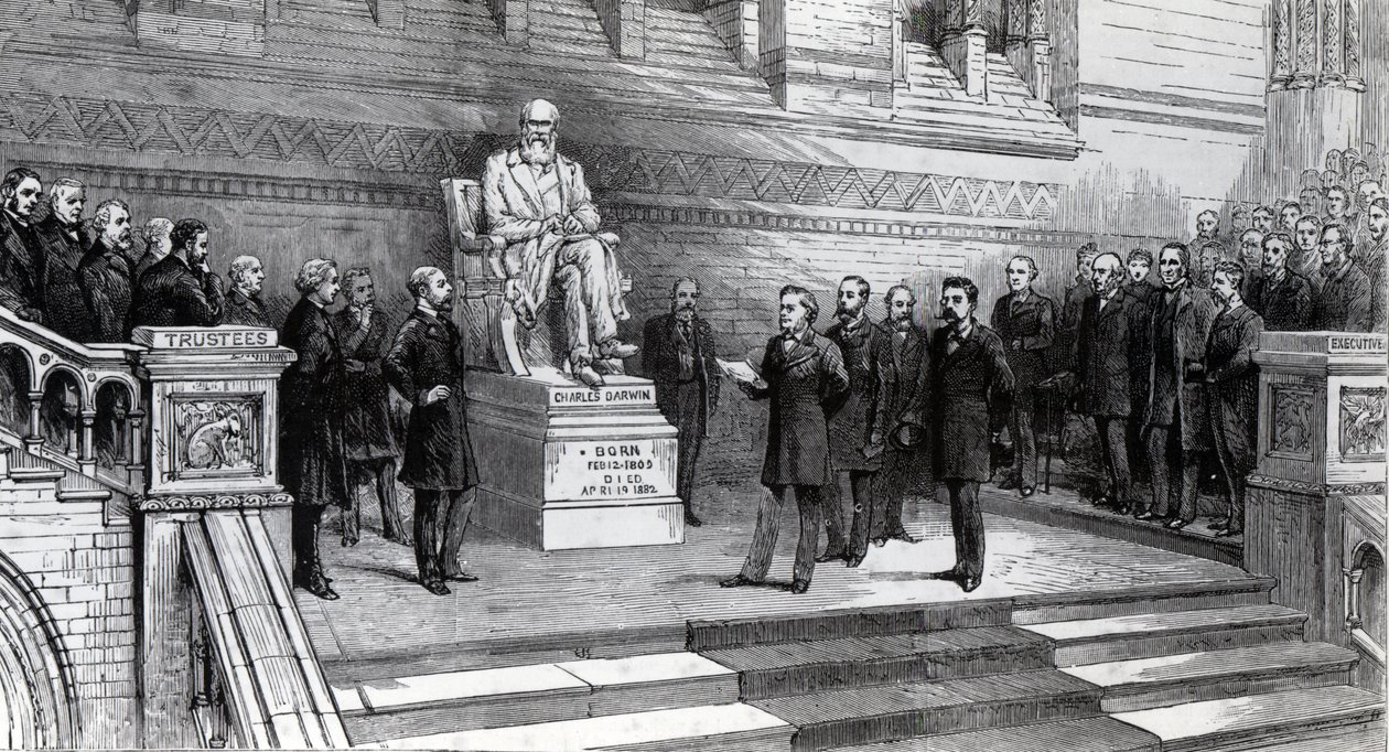 Enthüllung der Statue des verstorbenen Charles Darwin im Natural History Museum, South Kensington, 9. Juni 1885 von English School