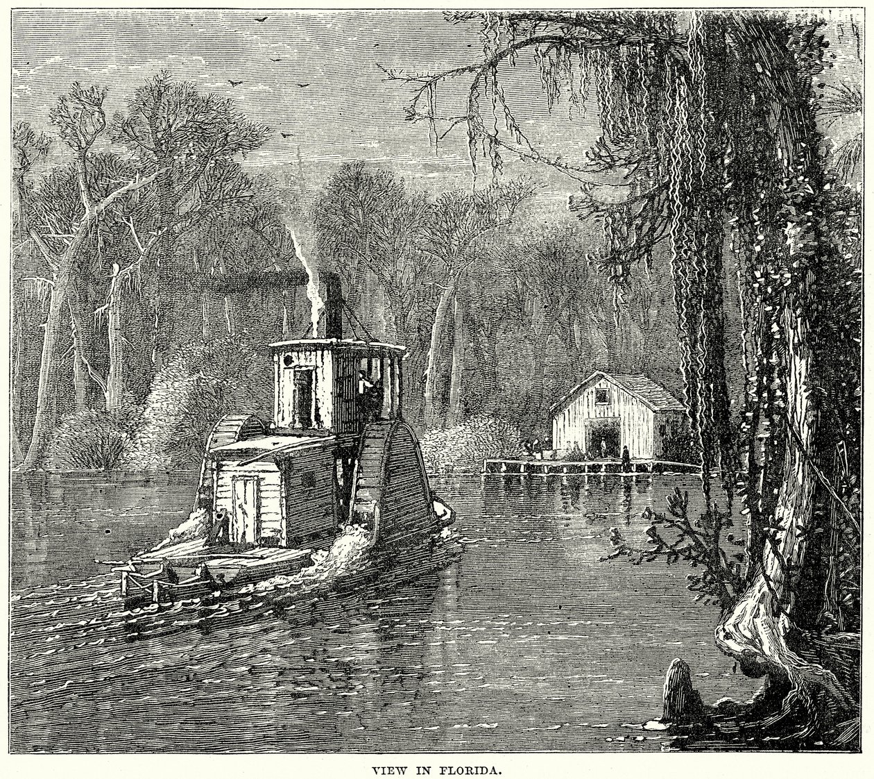 Ansicht in Florida (Gravur) von English School