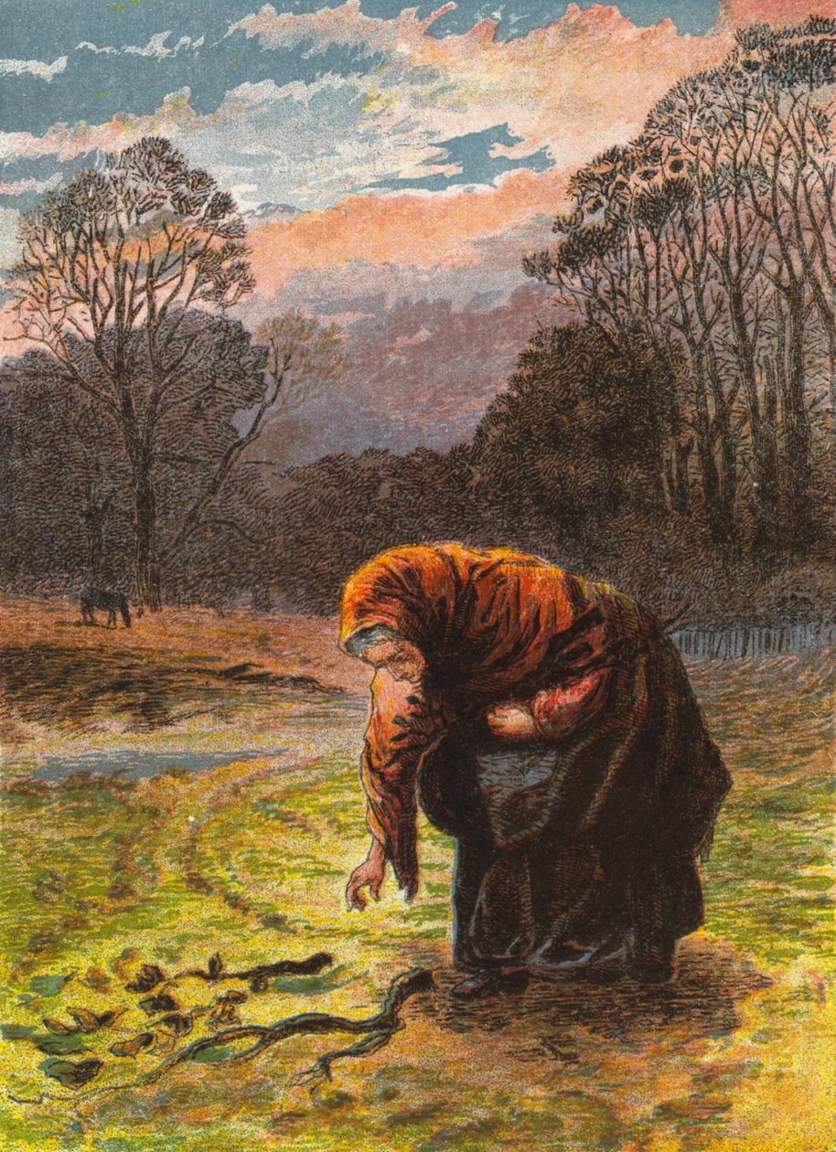 Frau sammelt Brennholz von English School