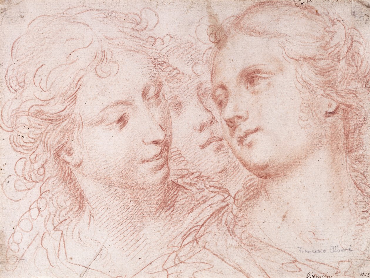 Drei Studien von Frauenköpfen von Ercole Procaccini