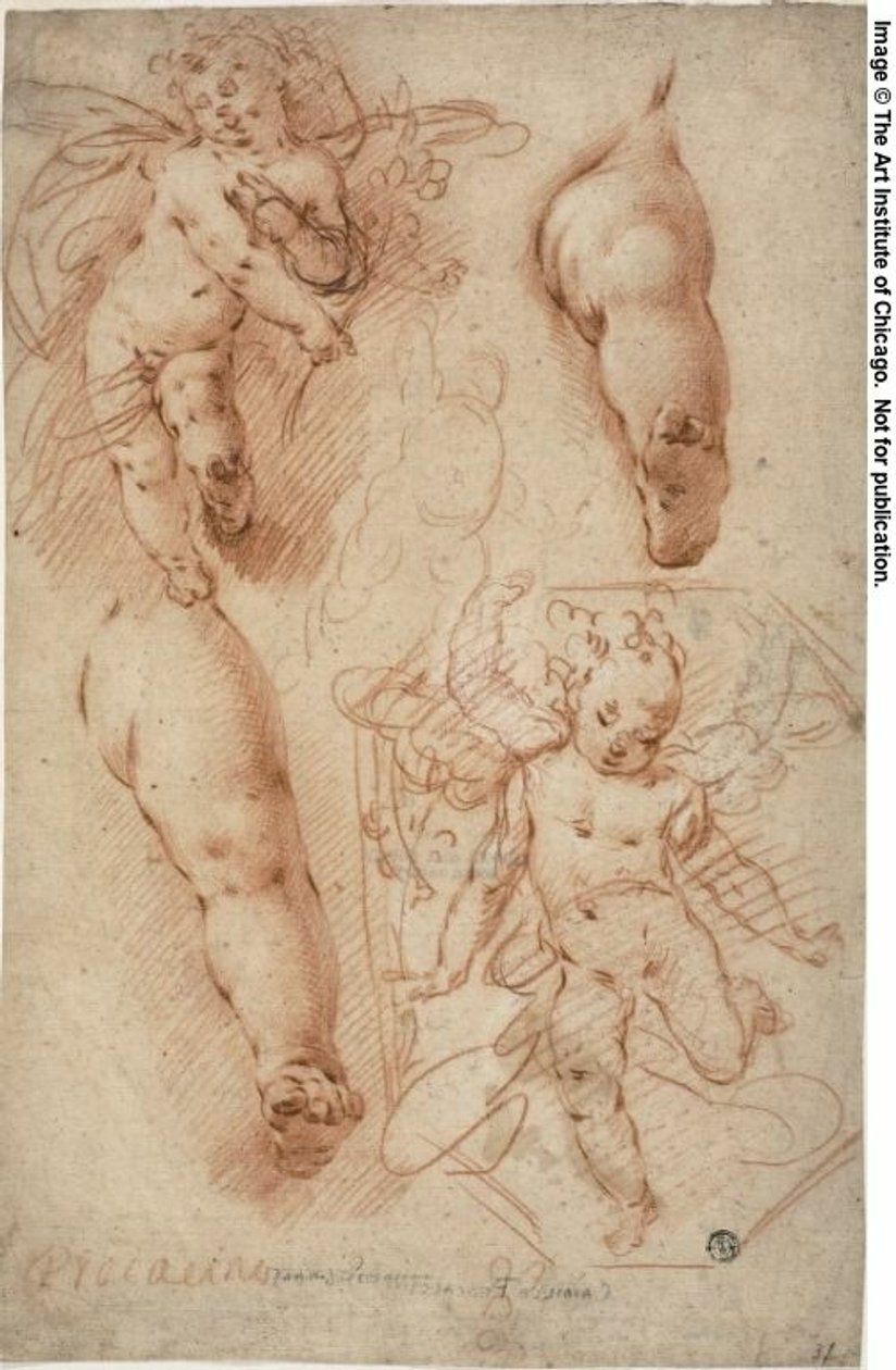 Skizzen von Putti, Beine von Ercole Procaccini the younger