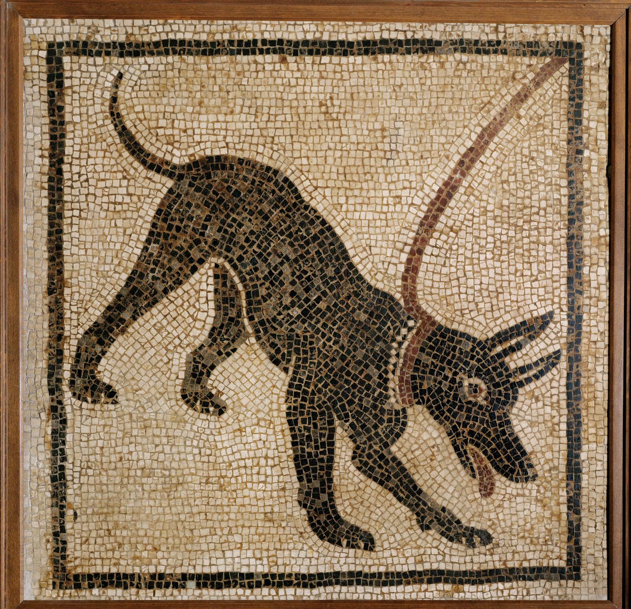 Cave Canem - Vorsicht vor dem Hund, Schwellenmosaik aus Pompeji von Erich Lessing