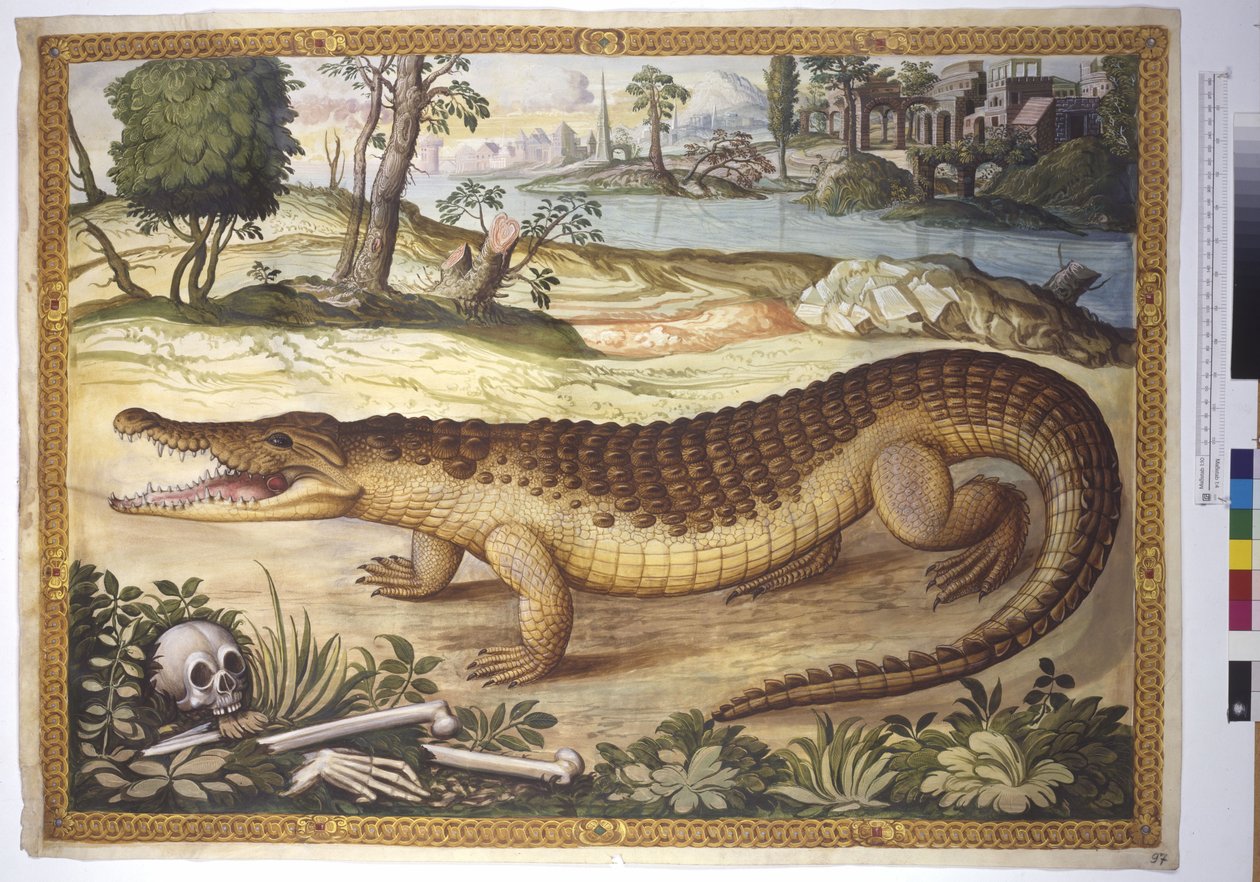 Vollseite: Nilkrokodil in einer Landschaft, mit menschlichen Knochen daneben, um 1562-1580 von Erich Lessing