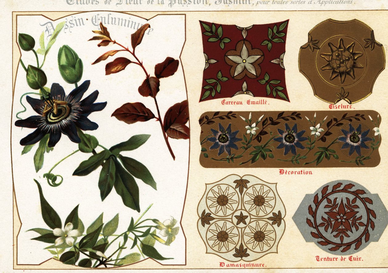 Bilder von Jasmin und Passionsblume aus Manuskripten und deren Anwendung von Ernest Guillot