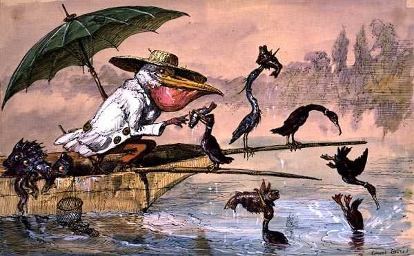 Kormorane präsentieren einem Pelikan Fisch in einem Kahn unter einem Regenschirm aus 