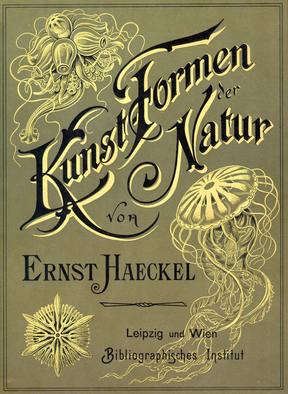 Titelblatt von 
