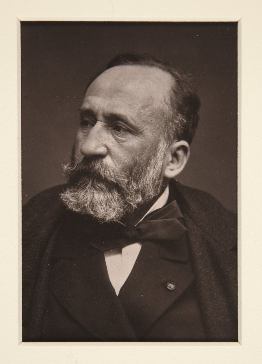 Porträt von Pierre Puvis de Chavannes (1824-1898) von Etienne Carjat