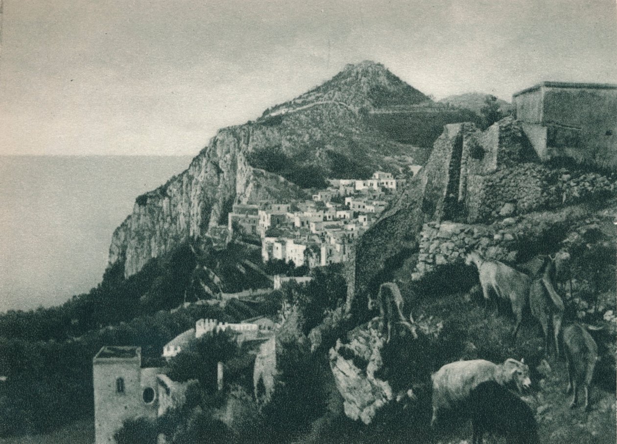 Blick auf das Meer mit Monte Solaro, Capri, Italien von Eugen Poppel