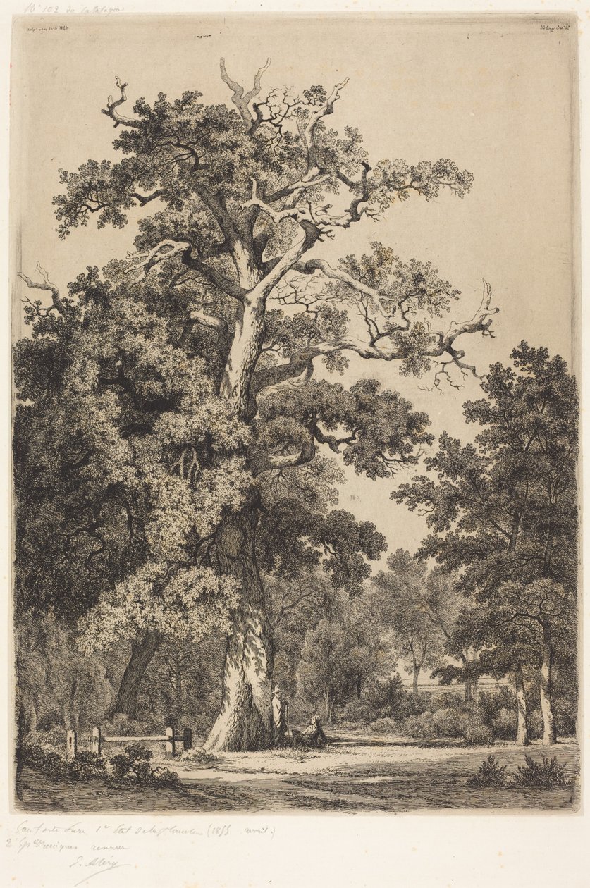 Alter Eiche im Bois de Boulogne von Eugene Bléry