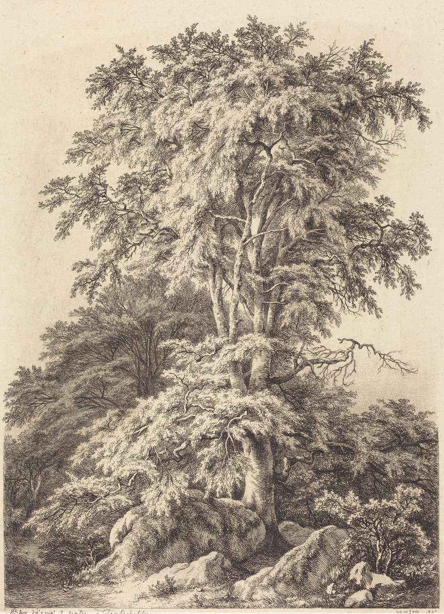 Buchenhain von Eugene Bléry