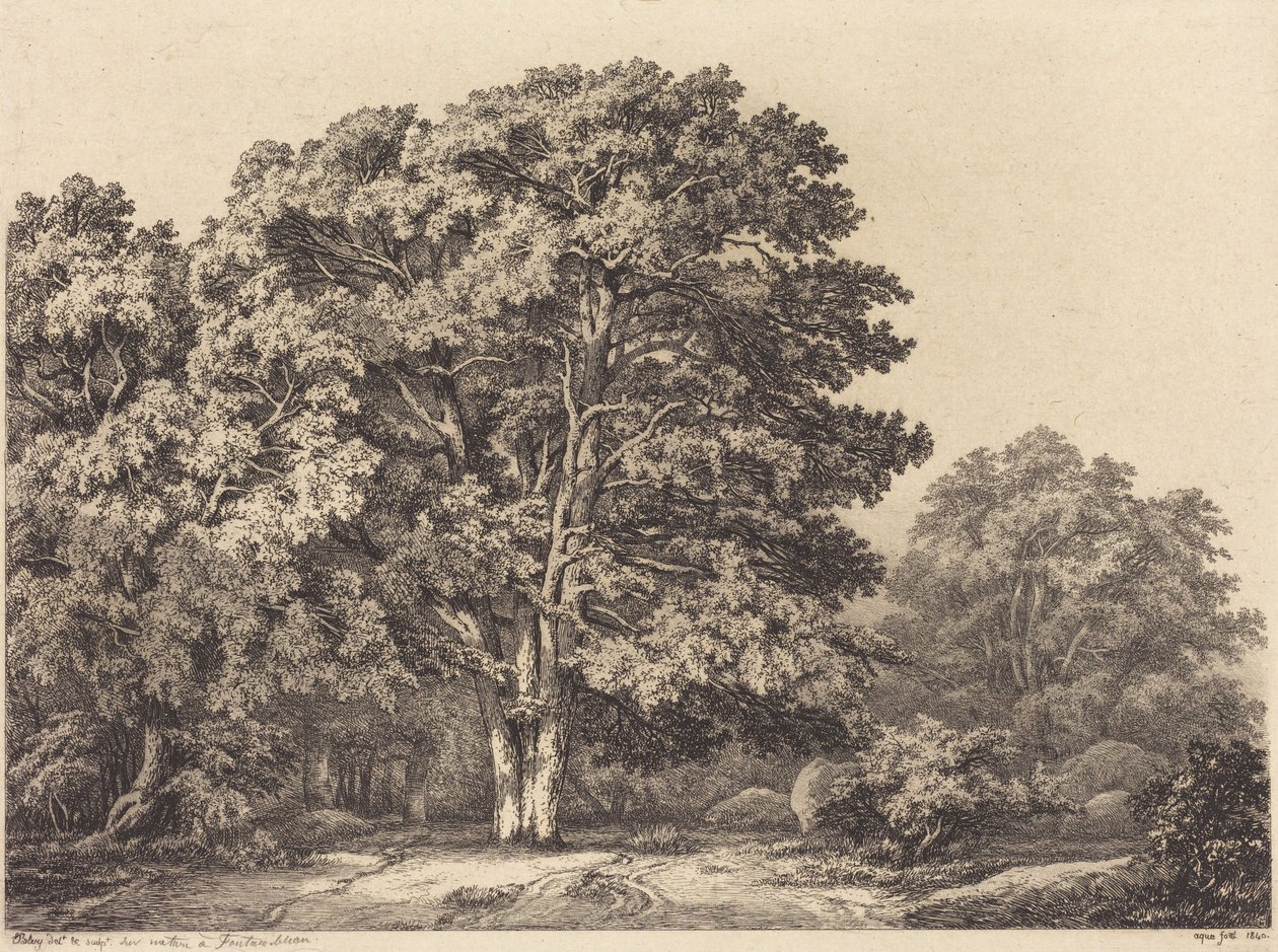 Eingang zu einem Wald von Eugene Bléry