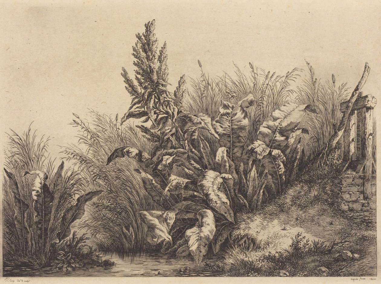 Wasserampfer von Eugene Bléry