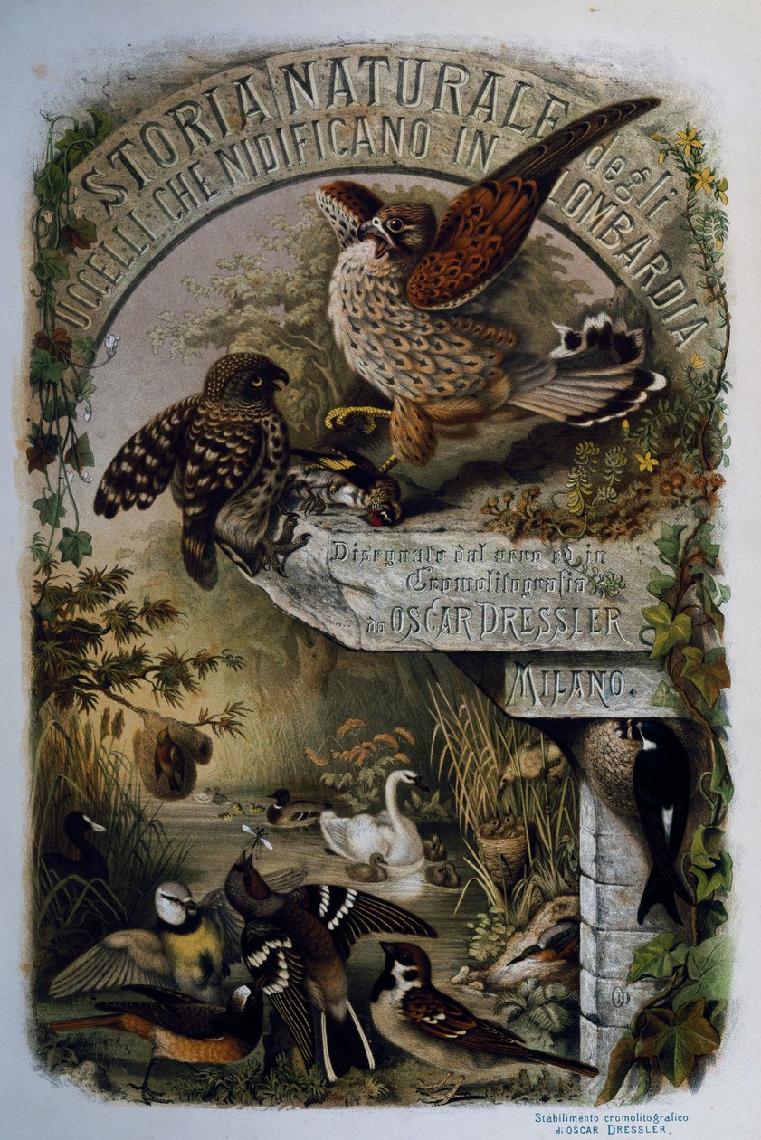 Titelseite der Naturgeschichte der Vögel, die in der Lombardei nisten, von Eugenio Bettoni, Gravur von Oscar Dressler von Eugenio Bettoni, Oscar Dressler