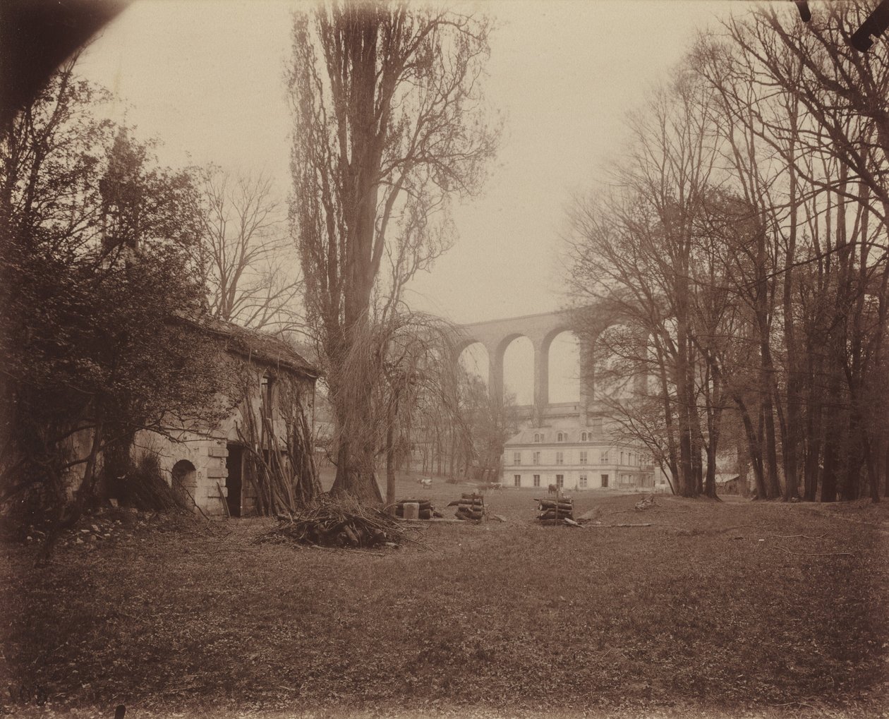 Arcueil-Cachan, Parc de Madame de Provigny von Eugène Atget