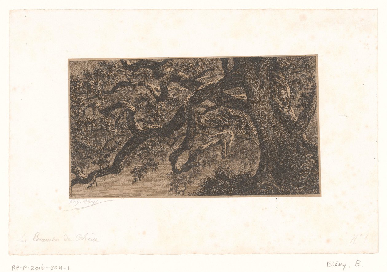 Kastanienzweige von Eugène Bléry (signed by artist)