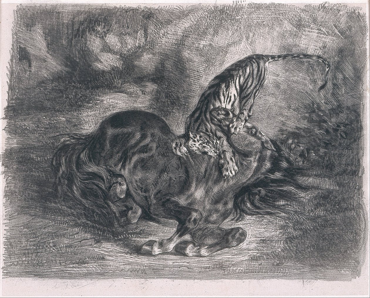 Wilder Hengst von einem Tiger niedergestreckt von Ferdinand Victor Eugene Delacroix