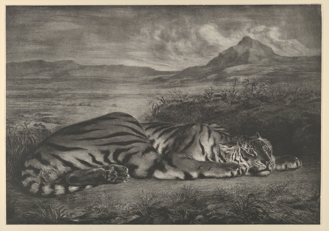 Königlicher Tiger, 1829 von Eugène Delacroix