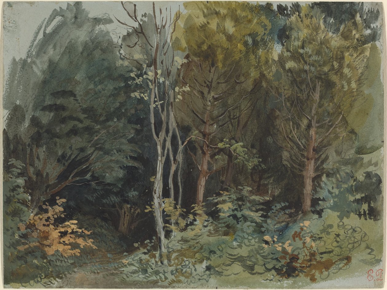 Der Rand eines Waldes bei Nohant, ca. 1842-1843 von Eugène Delacroix
