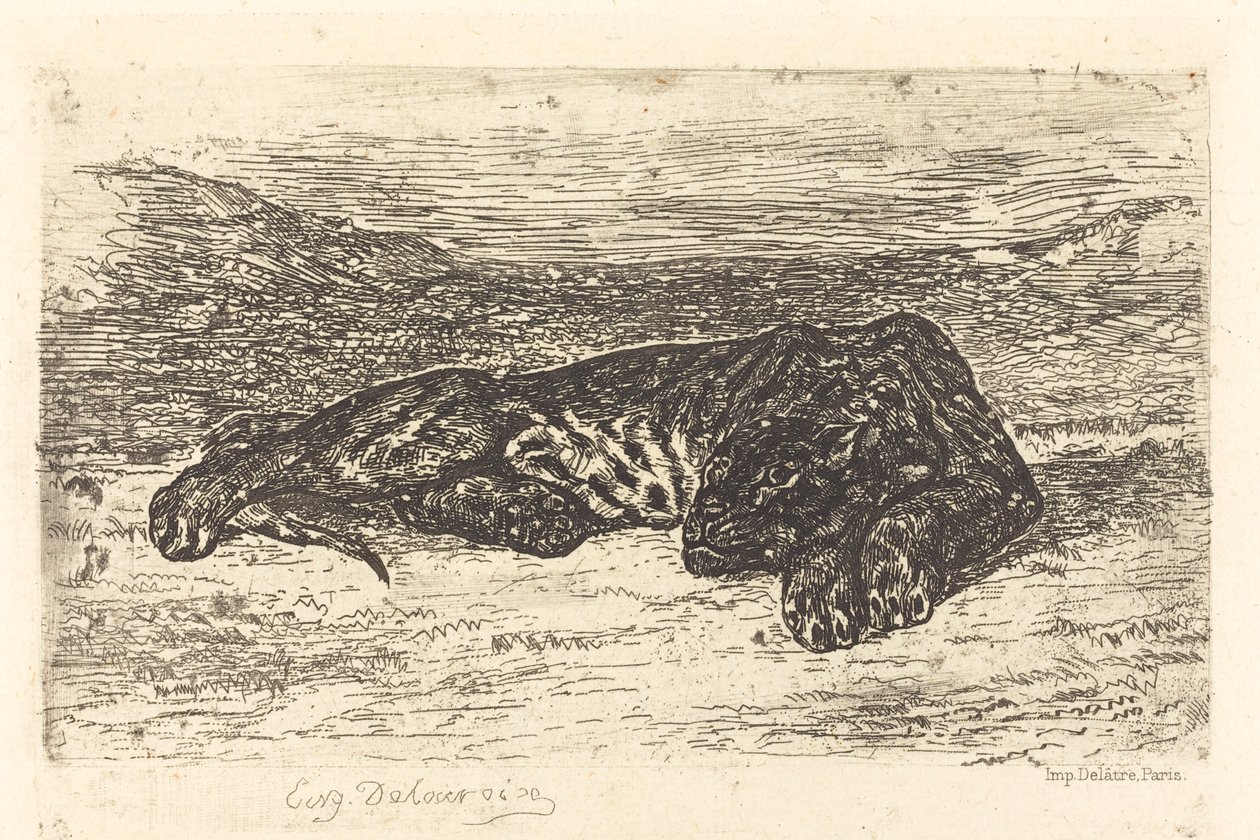 Tiger schläft in der Wüste, 1846 von Eugène Delacroix
