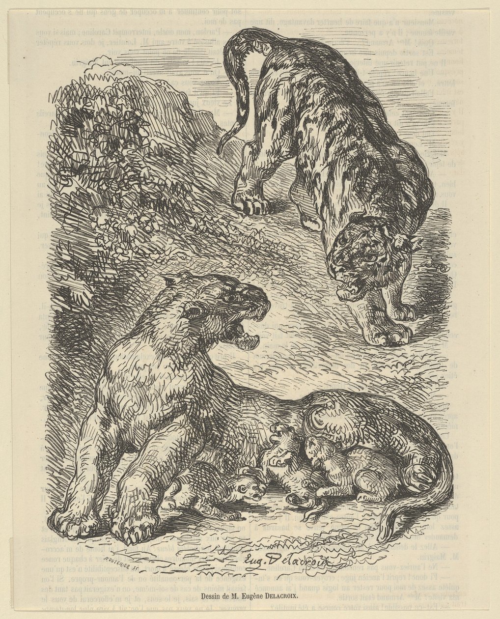 Tigerin wird von einem Tiger angegriffen, während sie ihre Jungen säugt von Eugène Delacroix