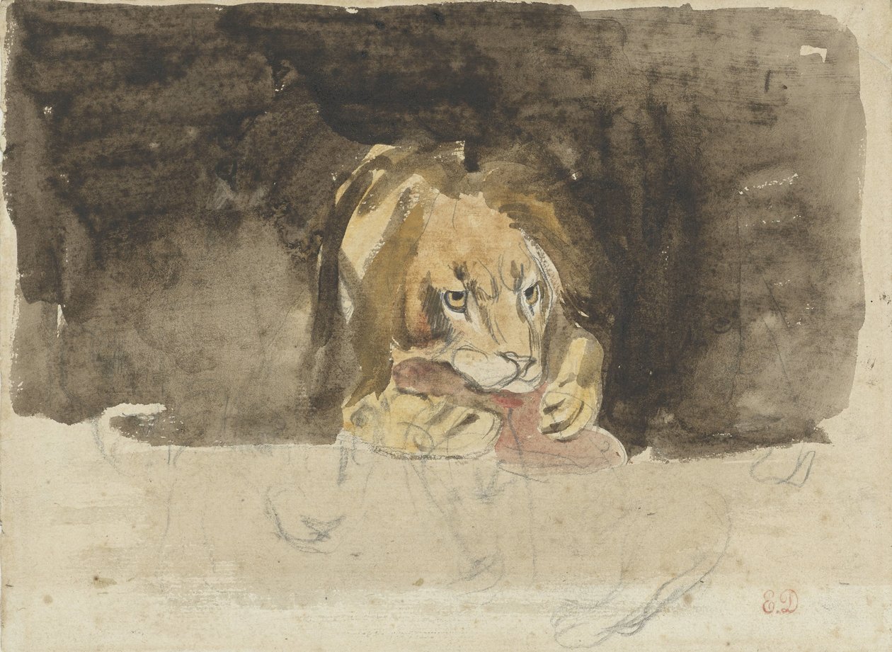 Fleischfressender Löwe, von vorne gesehen, vor einem dunklen Hintergrund von Eugène Delacroix